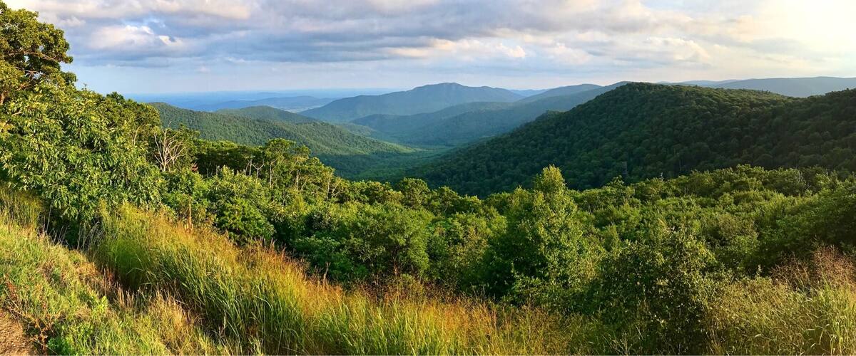 Spectacular views along Skyline Drive... There are views for the city and the valleys. Absolutely breathtaking, this area is filled with Hiking trails with Waterfalls, horse back riding and cabins to stay in as well as campgrounds. Enjoy
