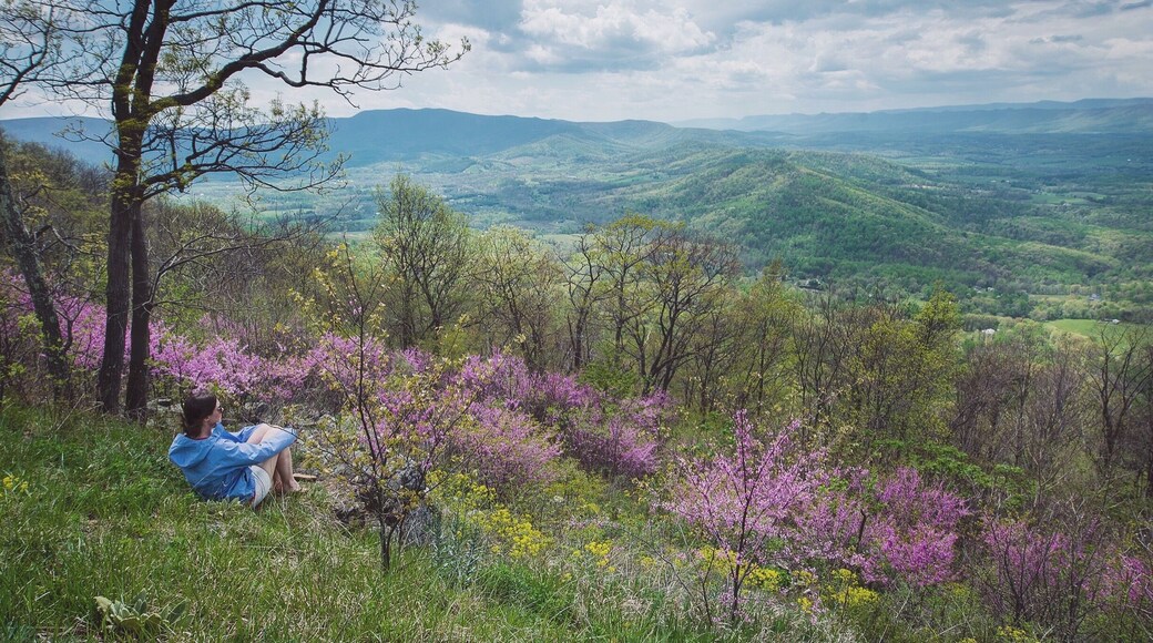 April is a great time to visit Shenandoah National Park along Skyline Drive!