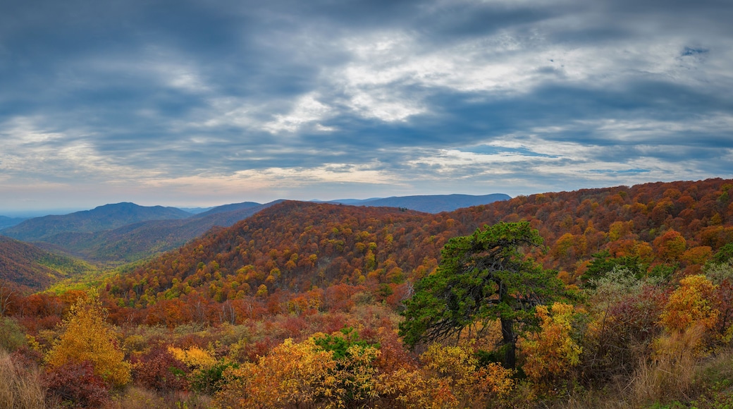 A mountainous landscape with autumn foliage.