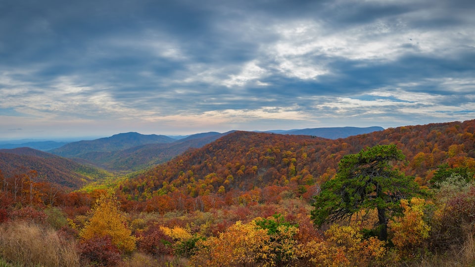 A mountainous landscape with autumn foliage.