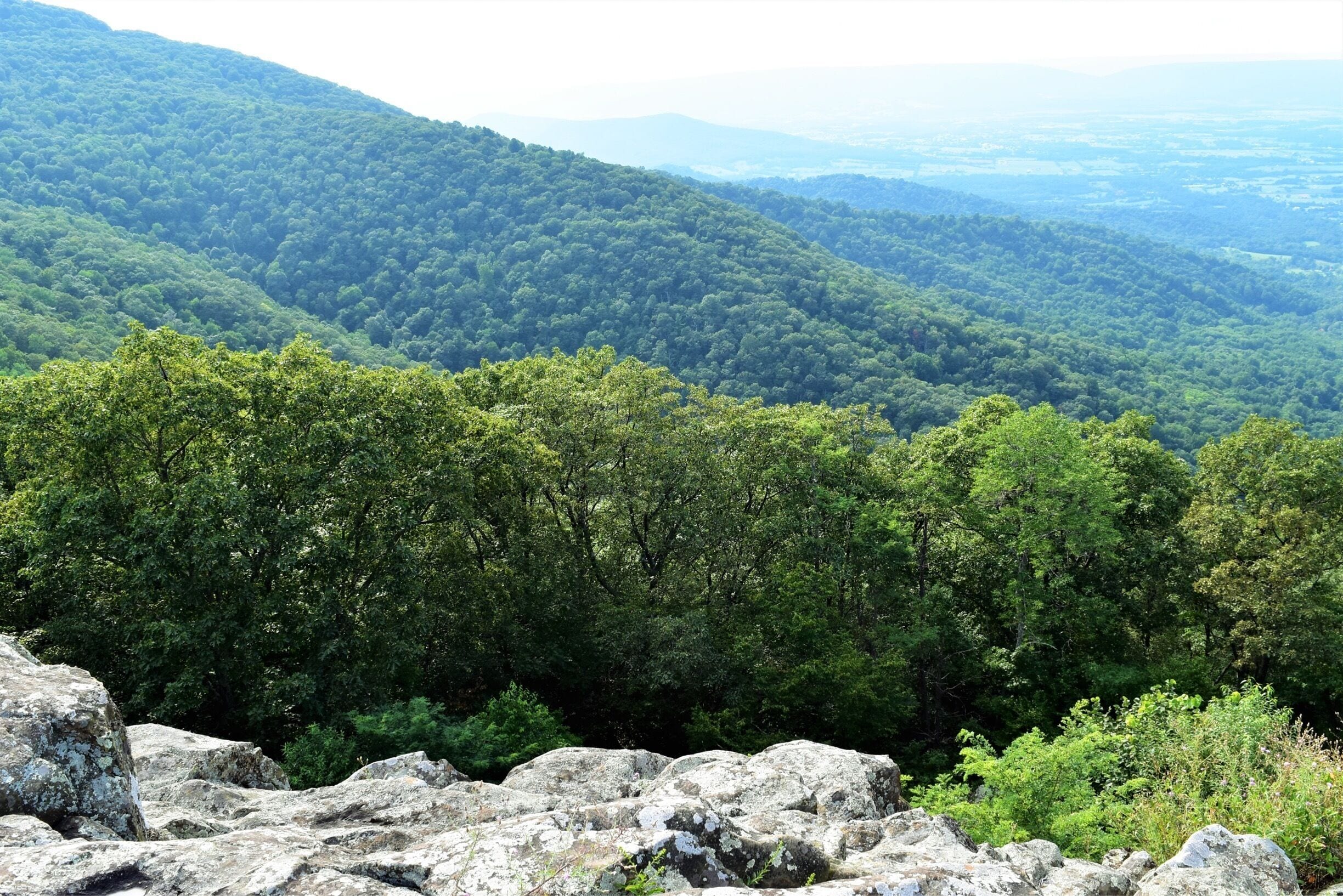 Riding on Skyline Drive Virginia!