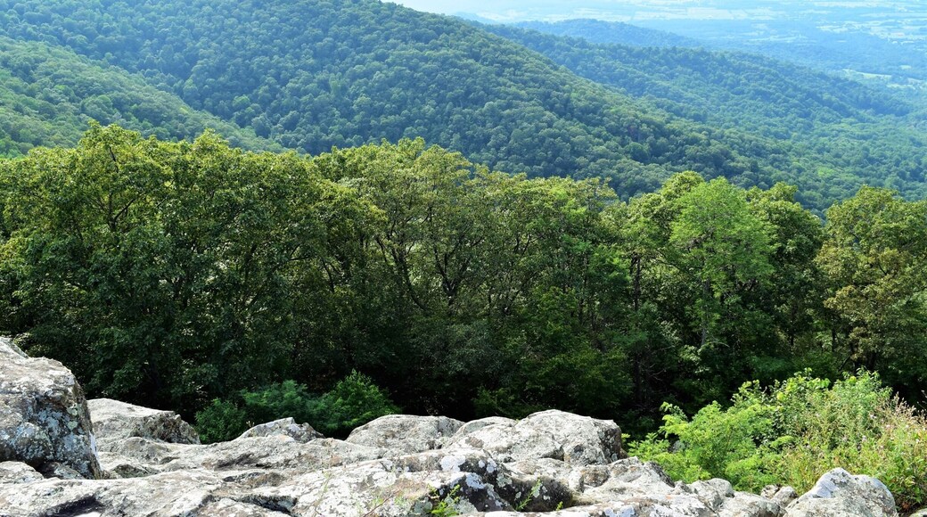 Riding on Skyline Drive Virginia!