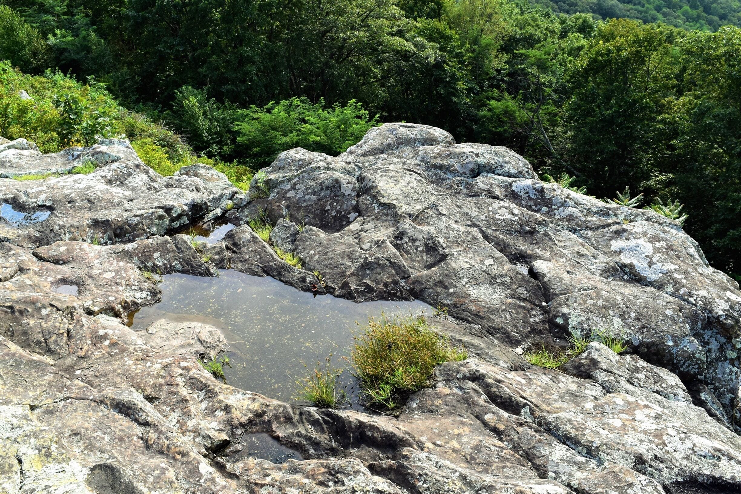 Riding on Skyline Drive Virginia!