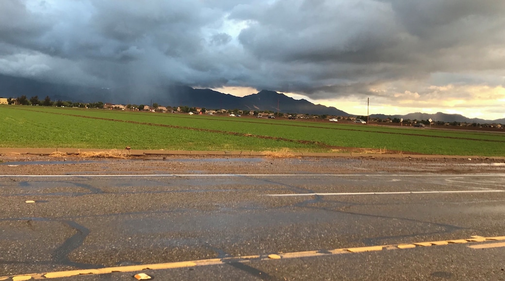 Wet fields after the storm. #TollesonArizonaUSA #EstrellaMountains #October2018