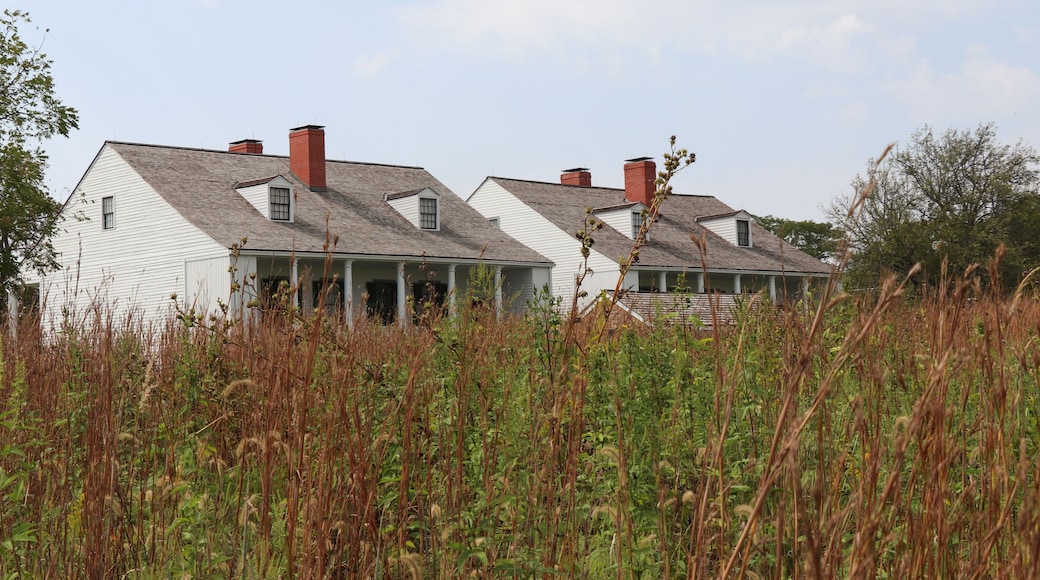 Two white houses with gray roofs and red chimneys, surrounded by tall grass and trees.