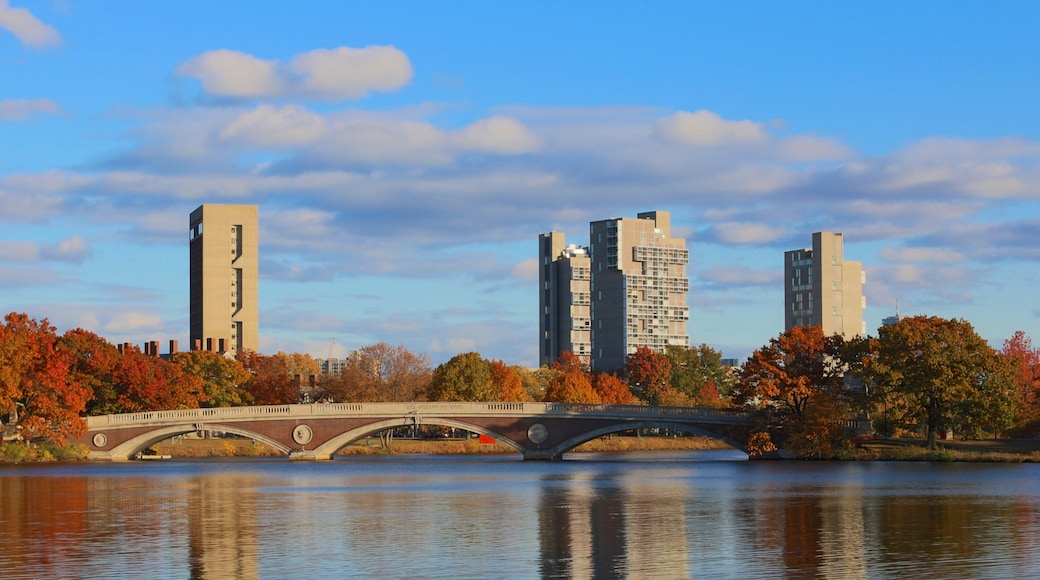 Allston