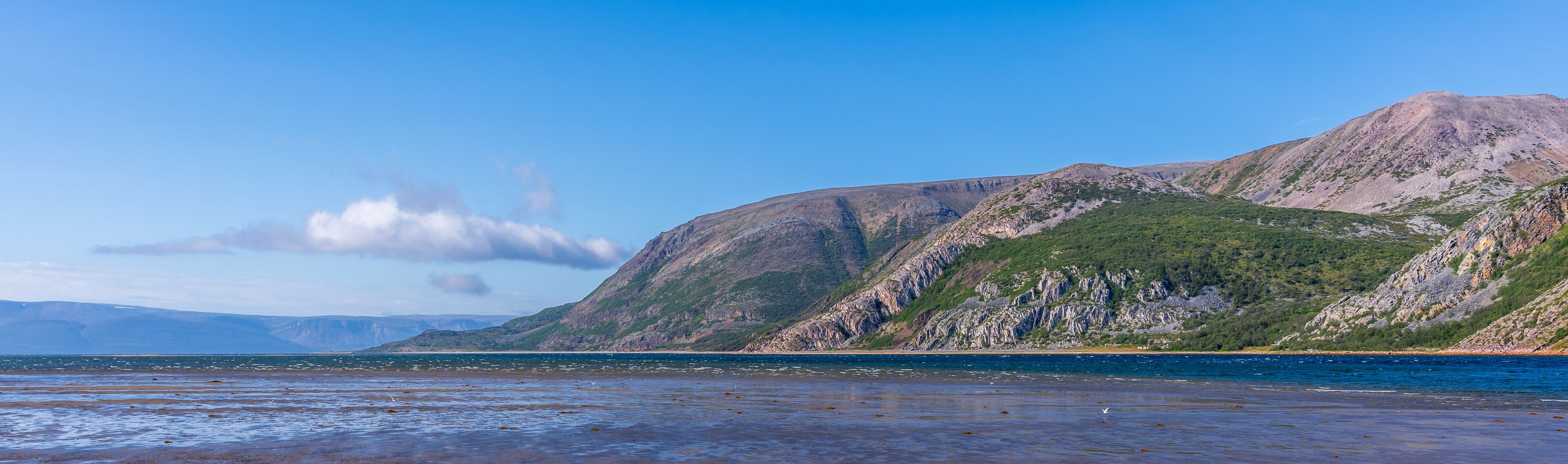 The Tanafjord or Tanafjorden (Northern Sami: Deanuvuotna) is a large fjord in Finnmark county, Norway. It is located in the municipalities of Tana, Gamvik, and Berlevag.
