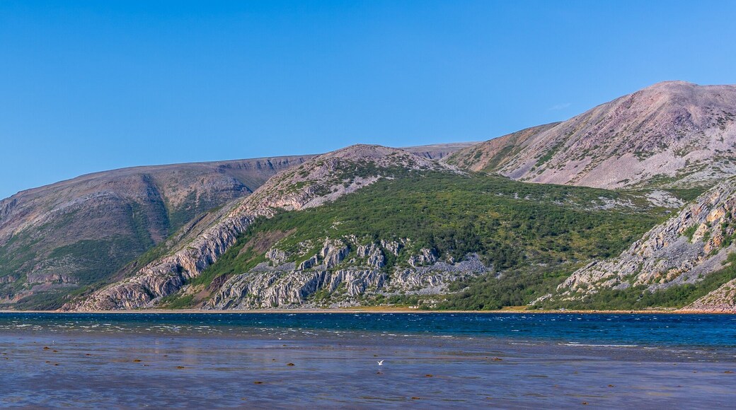 The Tanafjord or Tanafjorden (Northern Sami: Deanuvuotna) is a large fjord in Finnmark county, Norway. It is located in the municipalities of Tana, Gamvik, and Berlevag.