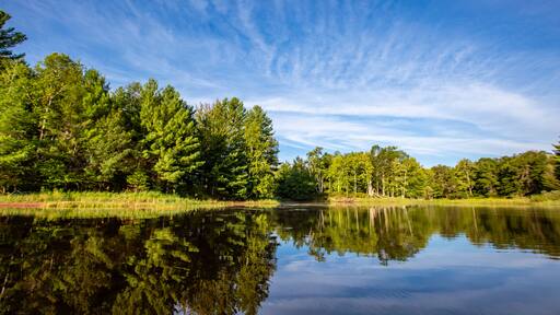 Lake Nokomis in Tomahawk, Wisconsin in the summer