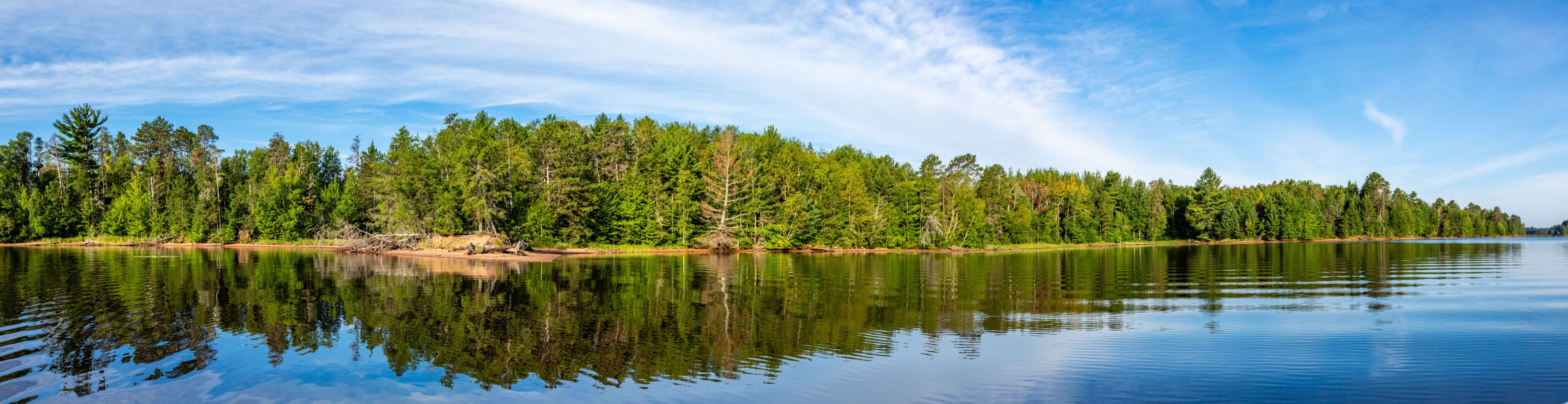 A calm lake surrounded by dense forest and a clear sky.