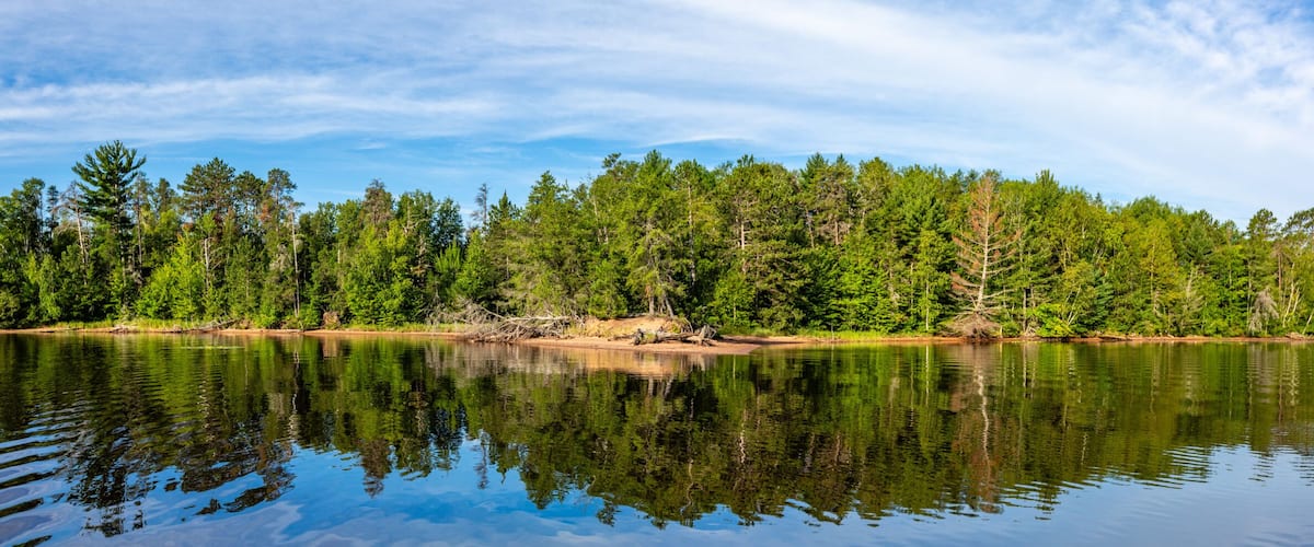 A calm lake surrounded by dense forest and a clear sky.
