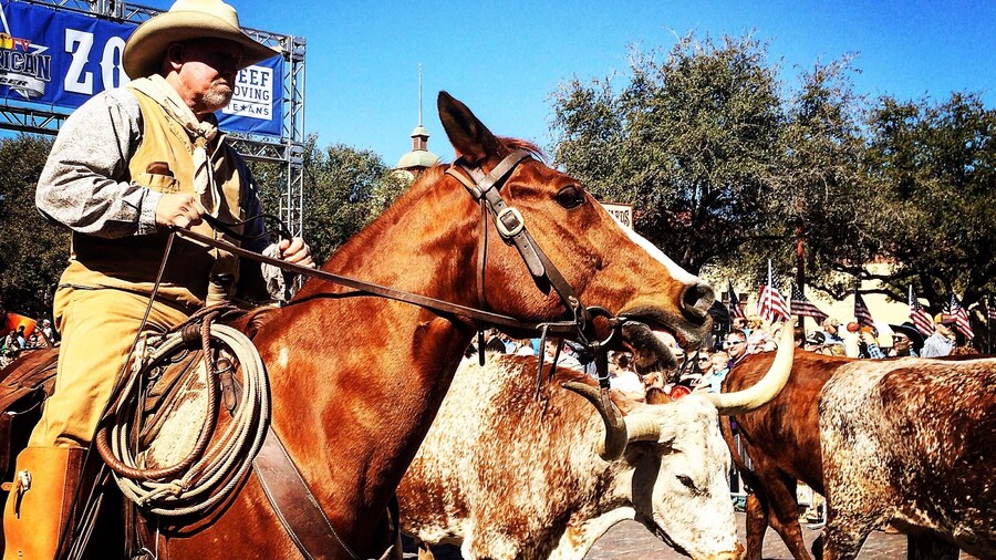 Little taste of Fort Worth Texas #Hometown