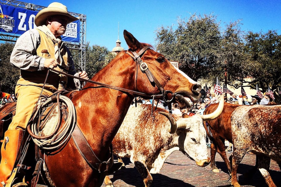 En cowboy till häst, med ett rep i handen, omgiven av boskap och en amerikansk flagga.