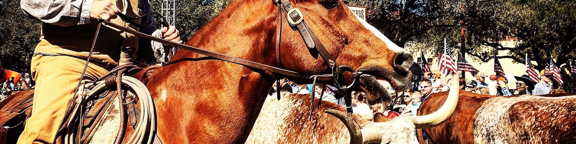 Little taste of Fort Worth Texas #Hometown