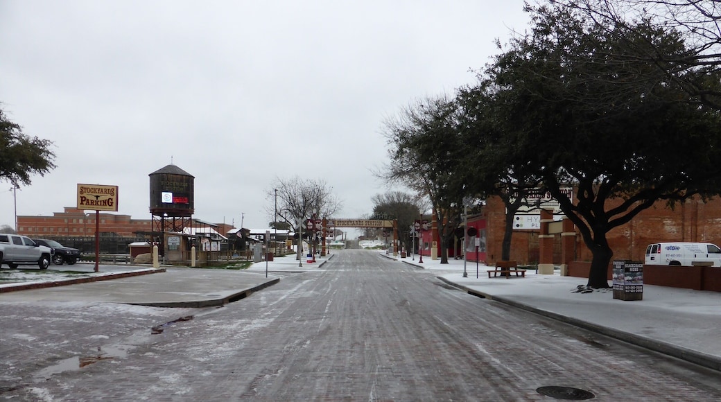 A cold, snowy, icy, slushy, ugly day in Fort Worth. #FortWorth