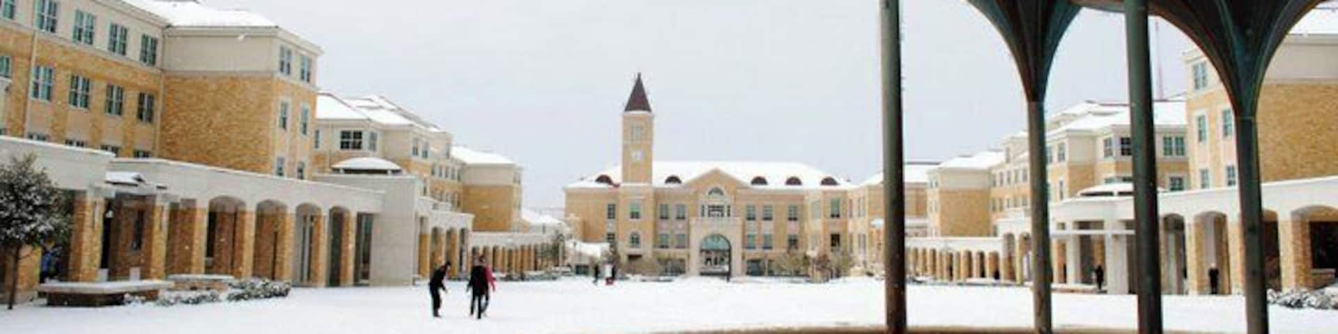 Texas Christian University's Campus Commons. This is the center of the residential side of campus during the winter snow of December of 2010.
In front is the iconic frog fountain a longtime symbol for TCU's campus and behind it is the BLUU. A beautiful campus.
#snow #architecture #Fortworth #TCU