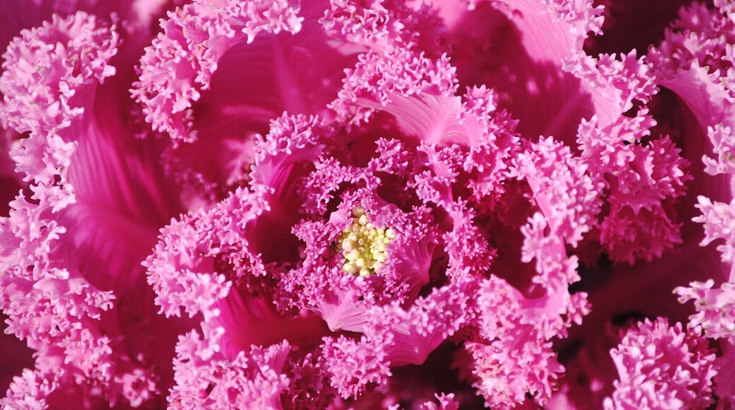 Really liked this place!