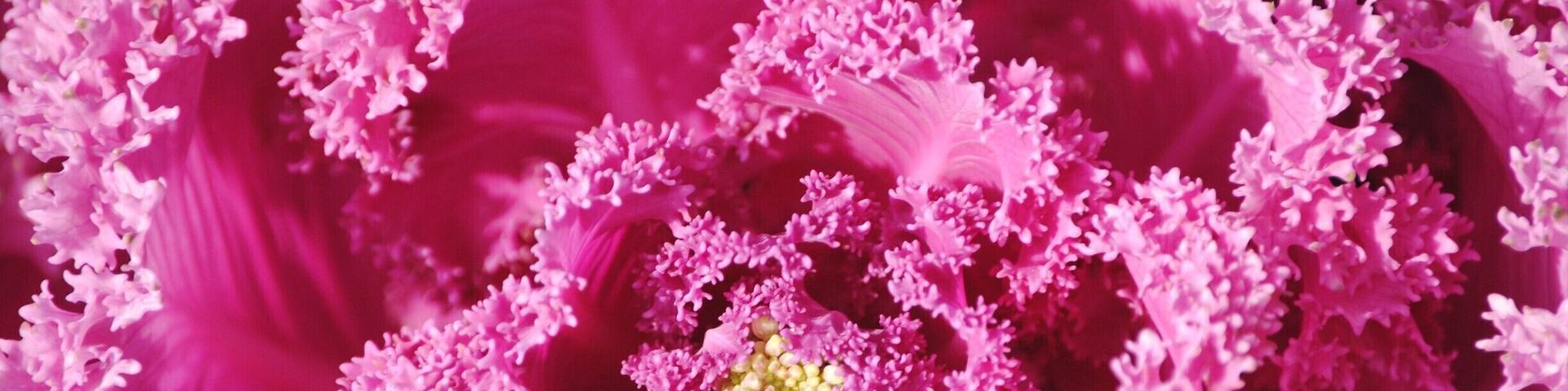 Really liked this place!