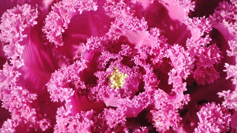 Really liked this place!