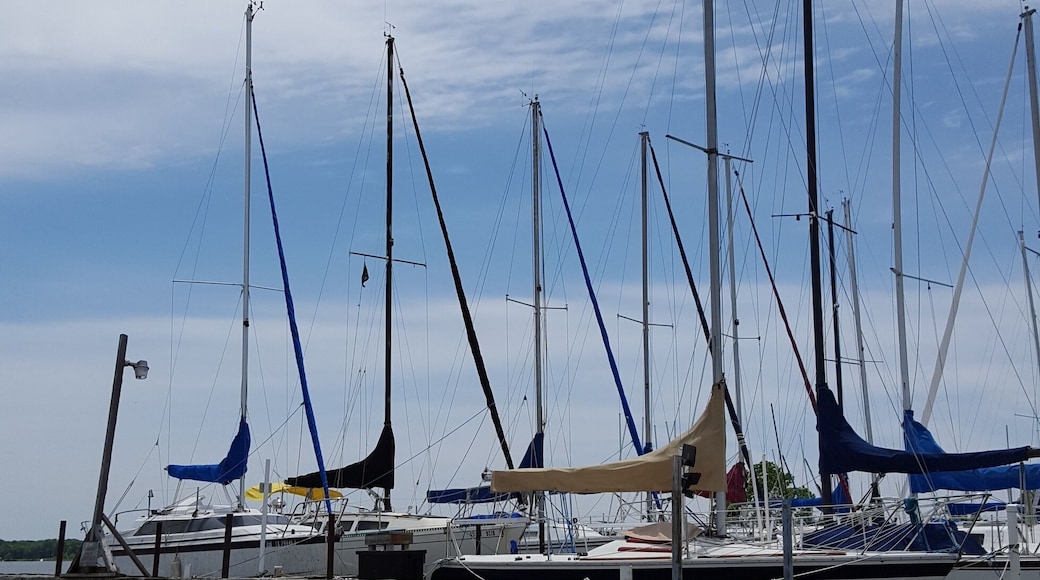 What a wonderful day to be out on the water