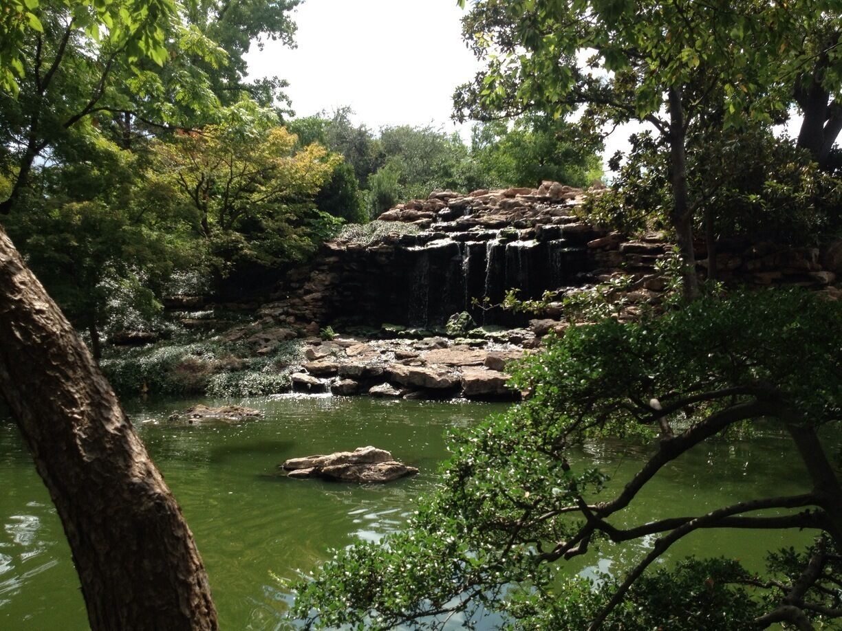 Japanese Garden is a must see. Absolutely breathtaking! Be sure to bring quarters and/or cash to exchange so you can feed the koi fish. 