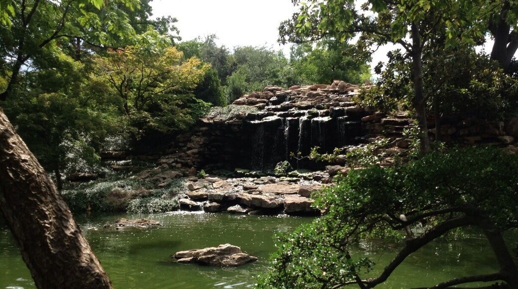 Japanese Garden is a must see. Absolutely breathtaking! Be sure to bring quarters and/or cash to exchange so you can feed the koi fish.