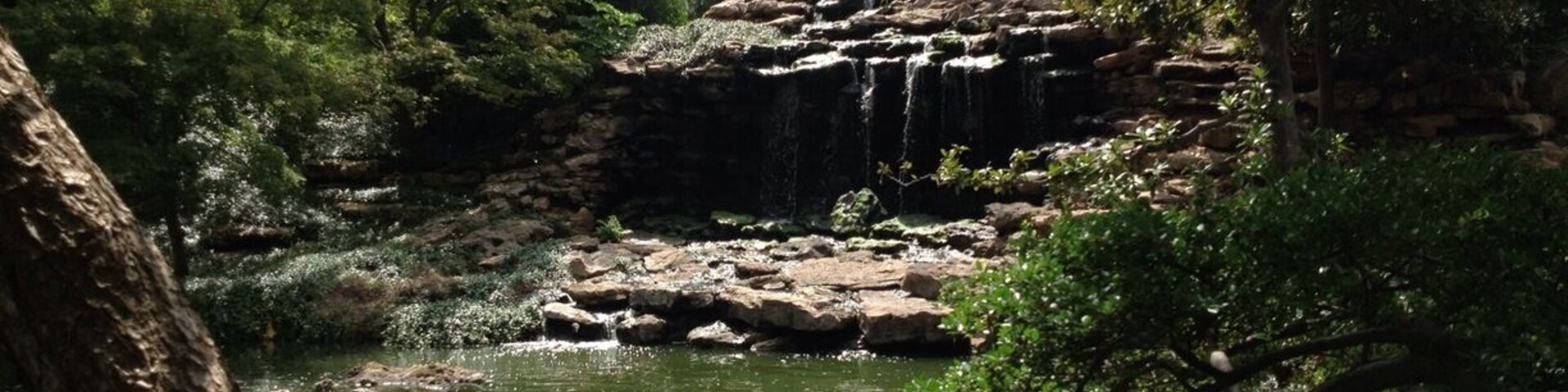 Japanese Garden is a must see. Absolutely breathtaking! Be sure to bring quarters and/or cash to exchange so you can feed the koi fish.