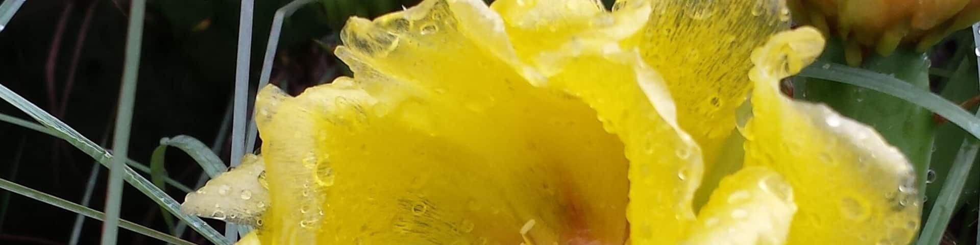 If you're ever in far NW FW, make time to stop by Eagle Mountain Park. It's worth the hike. The further you hike, the better.