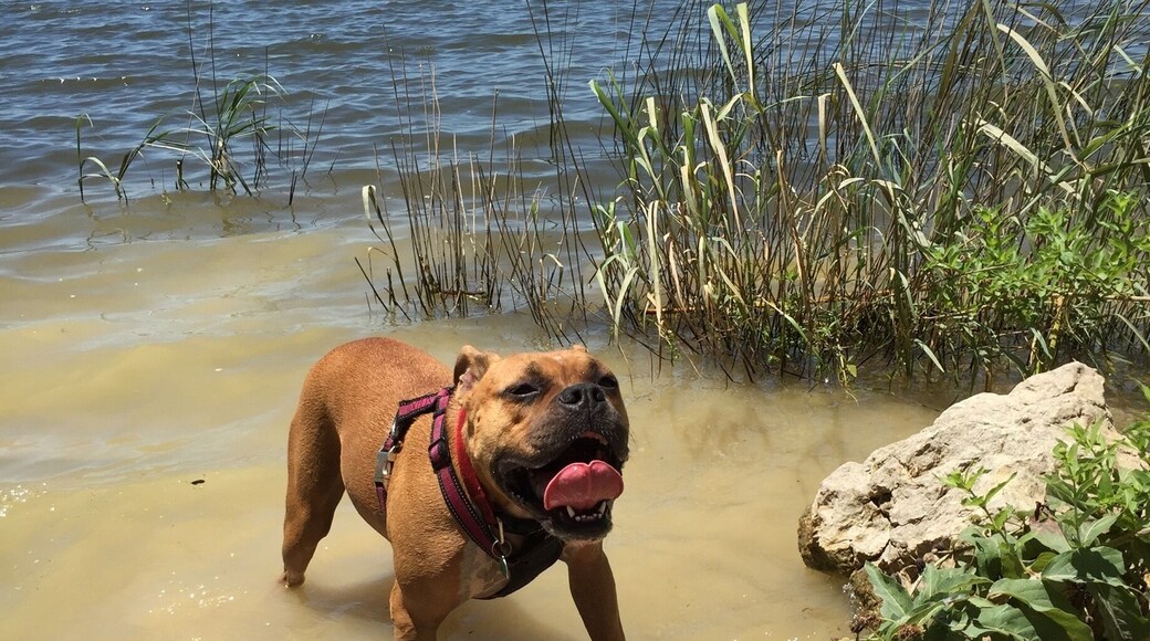Perfect place for hiking and mountain biking. The pup is crazy with #waterlust