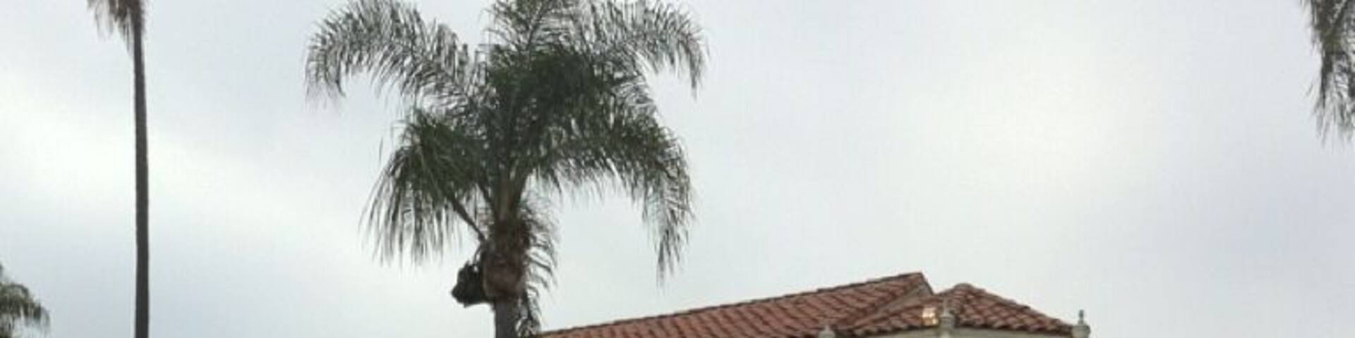 The Muckenthaler Cultural Center, once a residence, it now offers extraordinary exhibitions, performances and engaging educational programs to Orange County’s diverse communities and beyond.