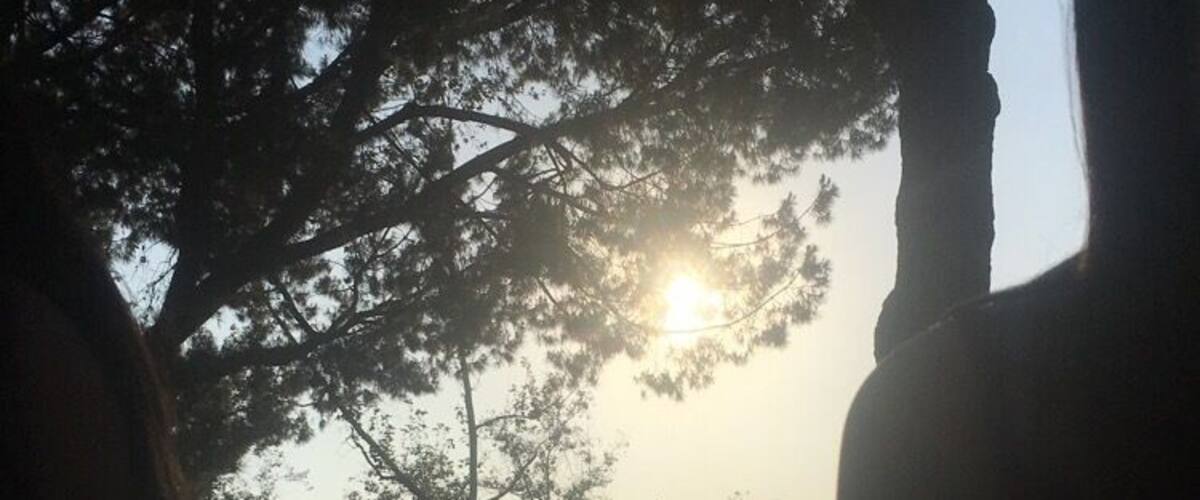 “We didn’t realize we were making memories we just knew we were having fun” -Winnie the Pooh