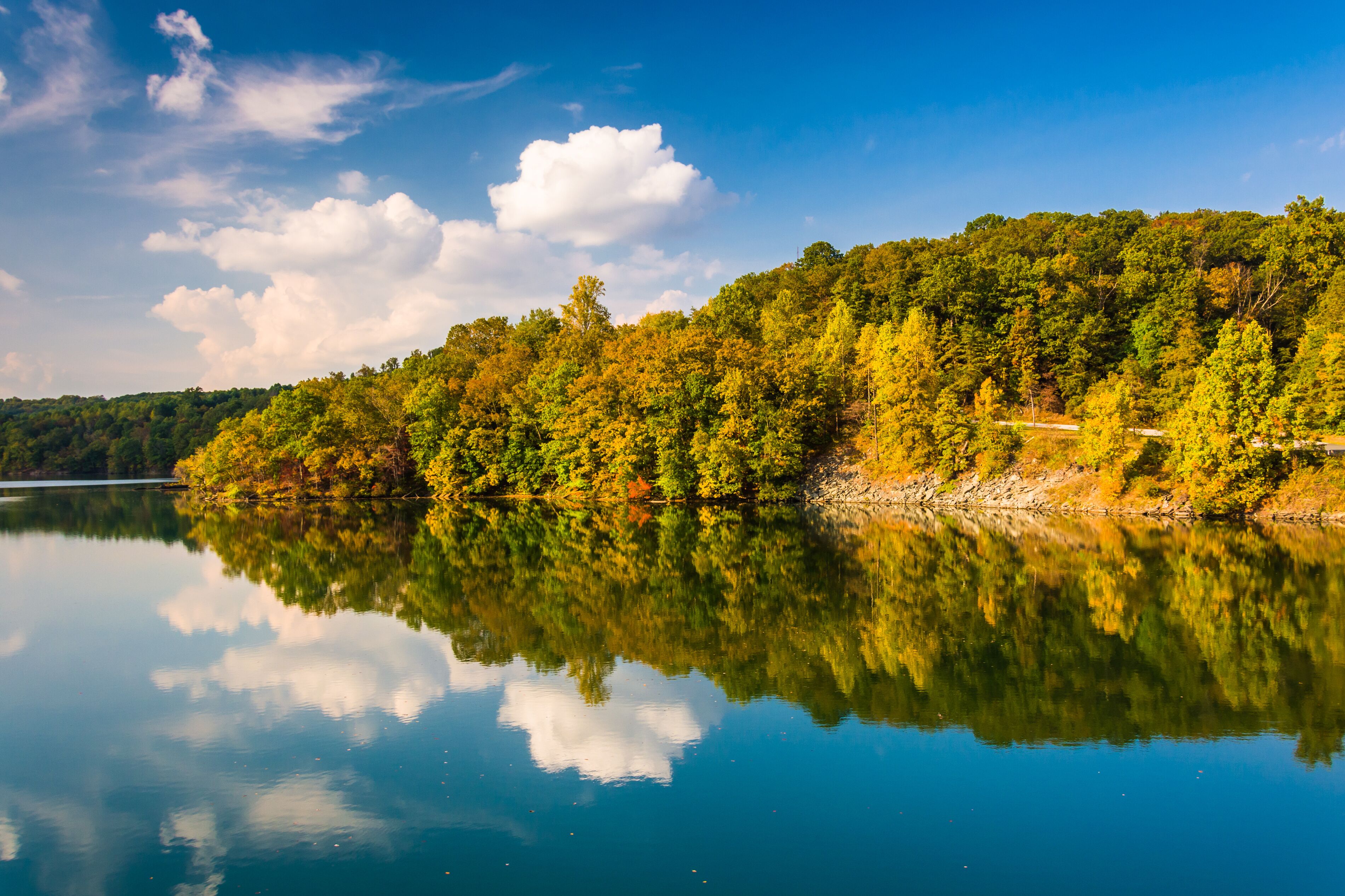 A calm lake with a reflection of the surrounding trees and sky.