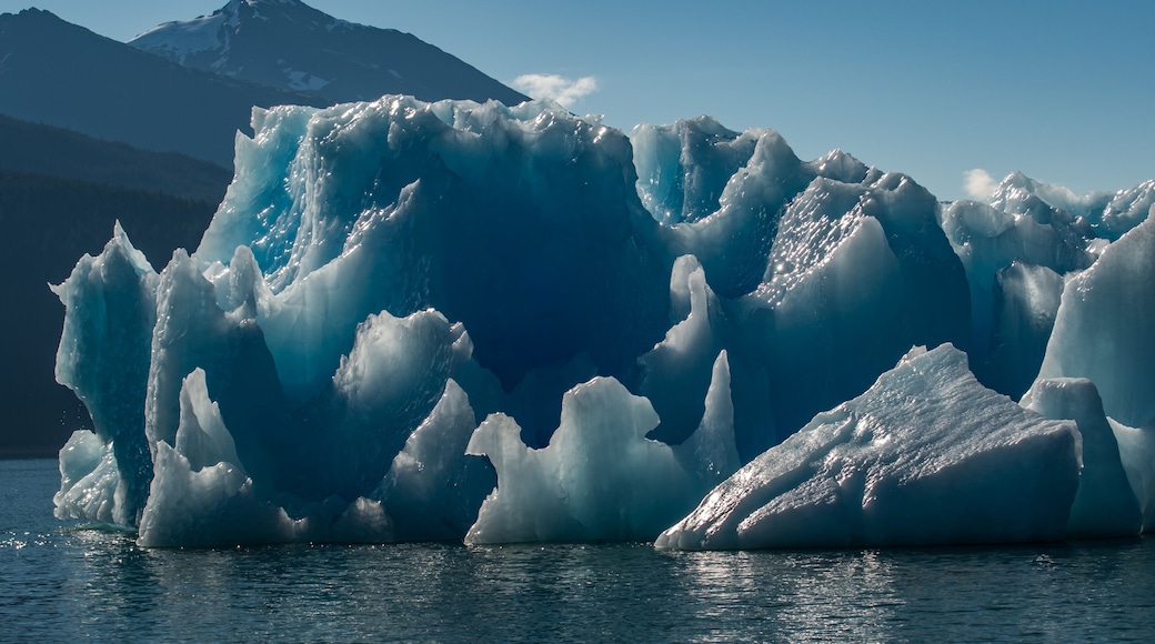 Icebergs near Tracy Arm and Juneau, Alaska