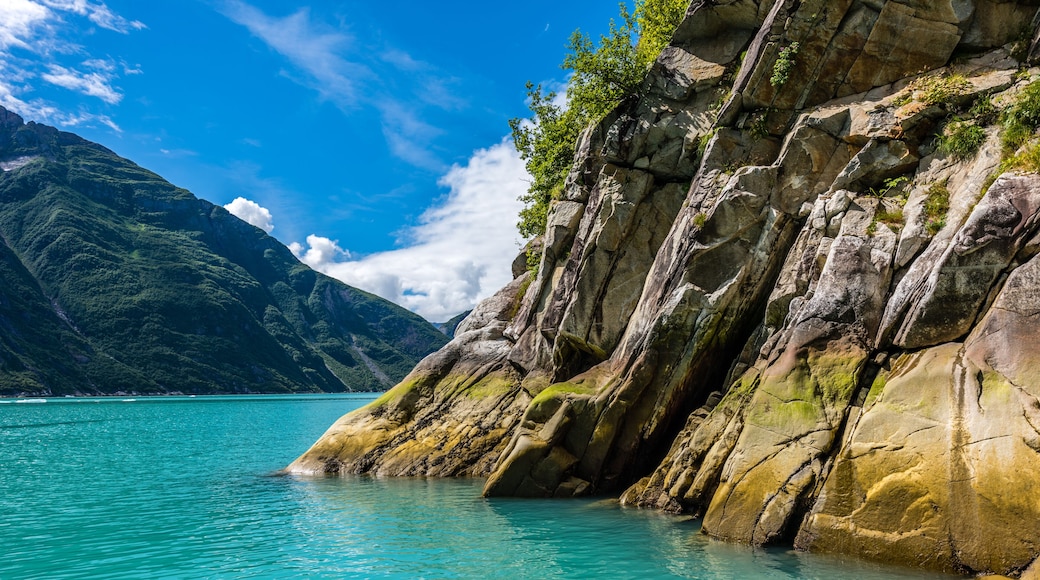 Shear Rock Face Along Alaska's Tracy Arm Fjord