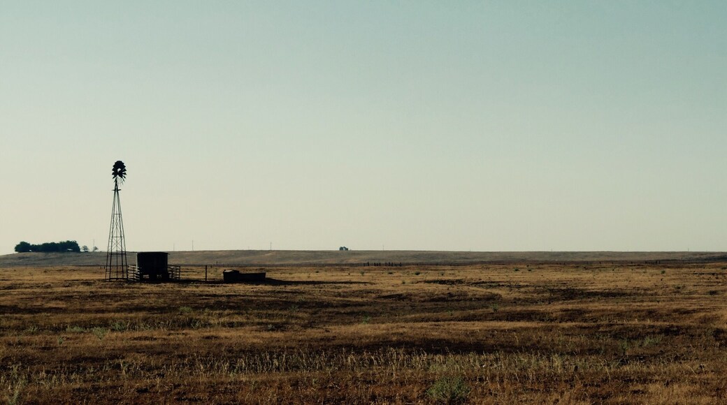 Somewhere on the road between SF and Yosemite