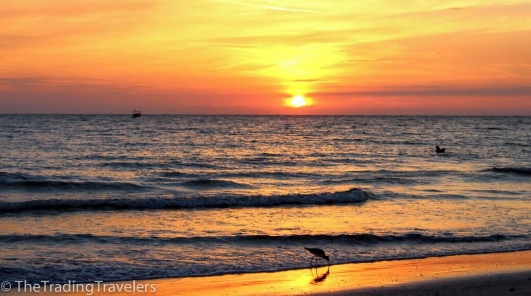A beautiful Florida sunset shot from the Treasure Island Ocean Club on Treasure Island Beach in St Pete, FL.
#beach
