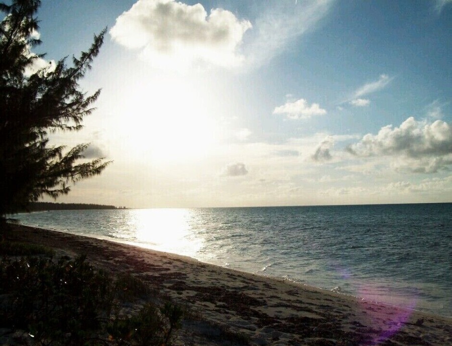 A stretch of private beach on West Caicos Islands. Turks and Caicos Islands has only allowed tourism within the last 30 years and many houses we saw were concrete, doorless and the residents cooked in fires outside. Such a difference from the resorts and beach front rental homes!