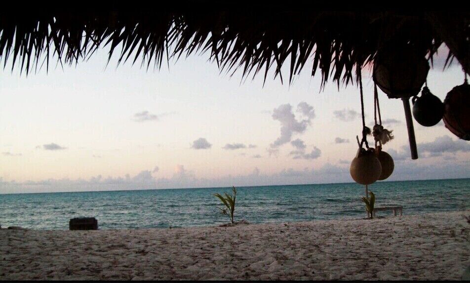 The Tiki Hut behind our villa. It was a wonderfully peaceful place to sit and watch the waves and play with all the little lizards who inhabit the island. There are also lots and lots of stray dogs called "pot stickers." We heard you could adopt them of you want to. We saw a momma and her pups come to our villa looking for food. She was bony and obviously starving so we fed her but  she wouldn't let us come close.