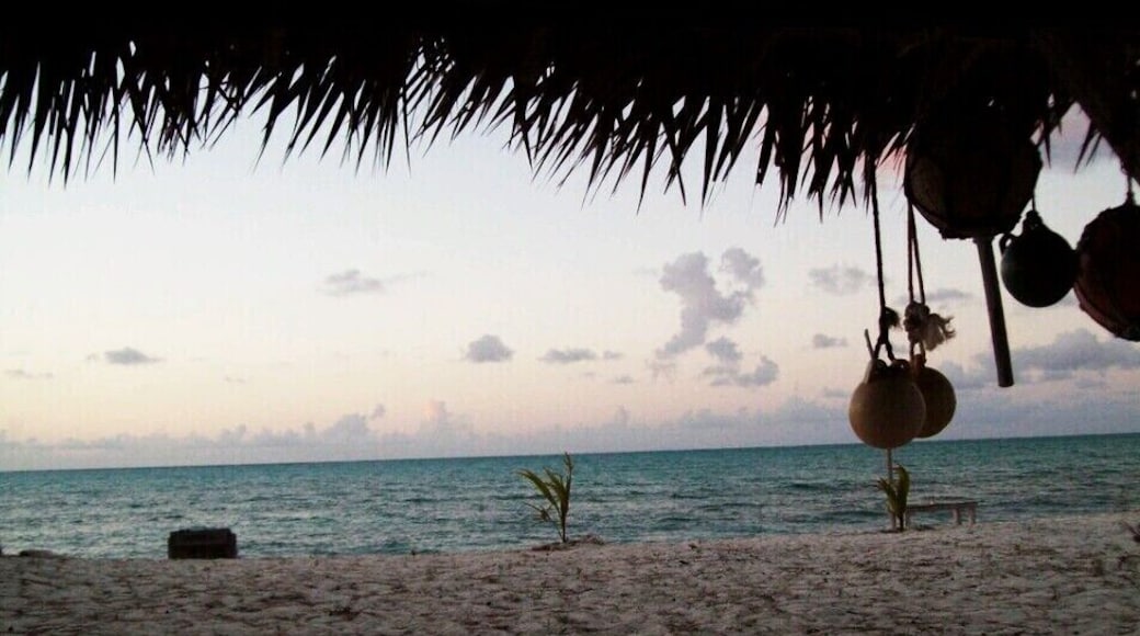 The Tiki Hut behind our villa. It was a wonderfully peaceful place to sit and watch the waves and play with all the little lizards who inhabit the island. There are also lots and lots of stray dogs called "pot stickers." We heard you could adopt them of you want to. We saw a momma and her pups come to our villa looking for food. She was bony and obviously starving so we fed her but she wouldn't let us come close.