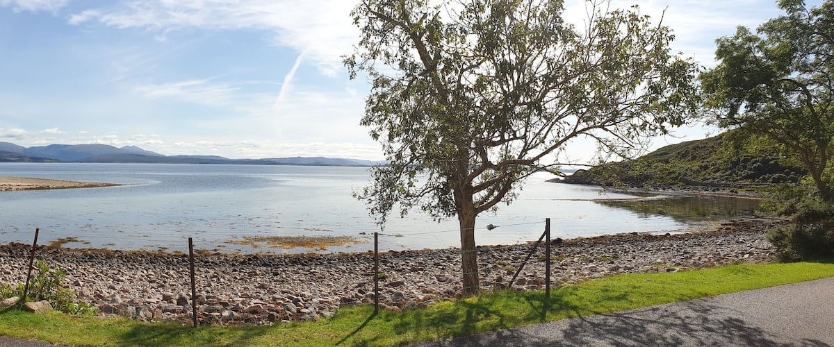 A lake with a rocky shoreline, a tree, and distant mountains.