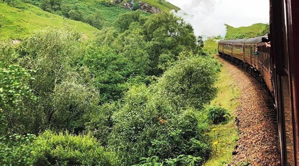 Jacobite train #perspectives #hogwartsexpress #scotland #lifeatexpedia