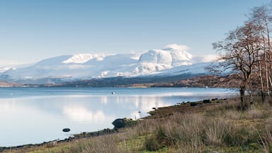 A calm lake with snow-capped mountains in the background and a leafless tree on the right.