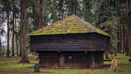 2023-01-03 A OLD DECAYING BUILDING IN THE BORST PARK IN CENTRALIA WASHINGTON WITH TREES AND GRASS IN THE SCENE-