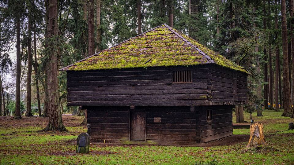 A rustic log cabin with a moss-covered roof, surrounded by tall trees in a forest.
