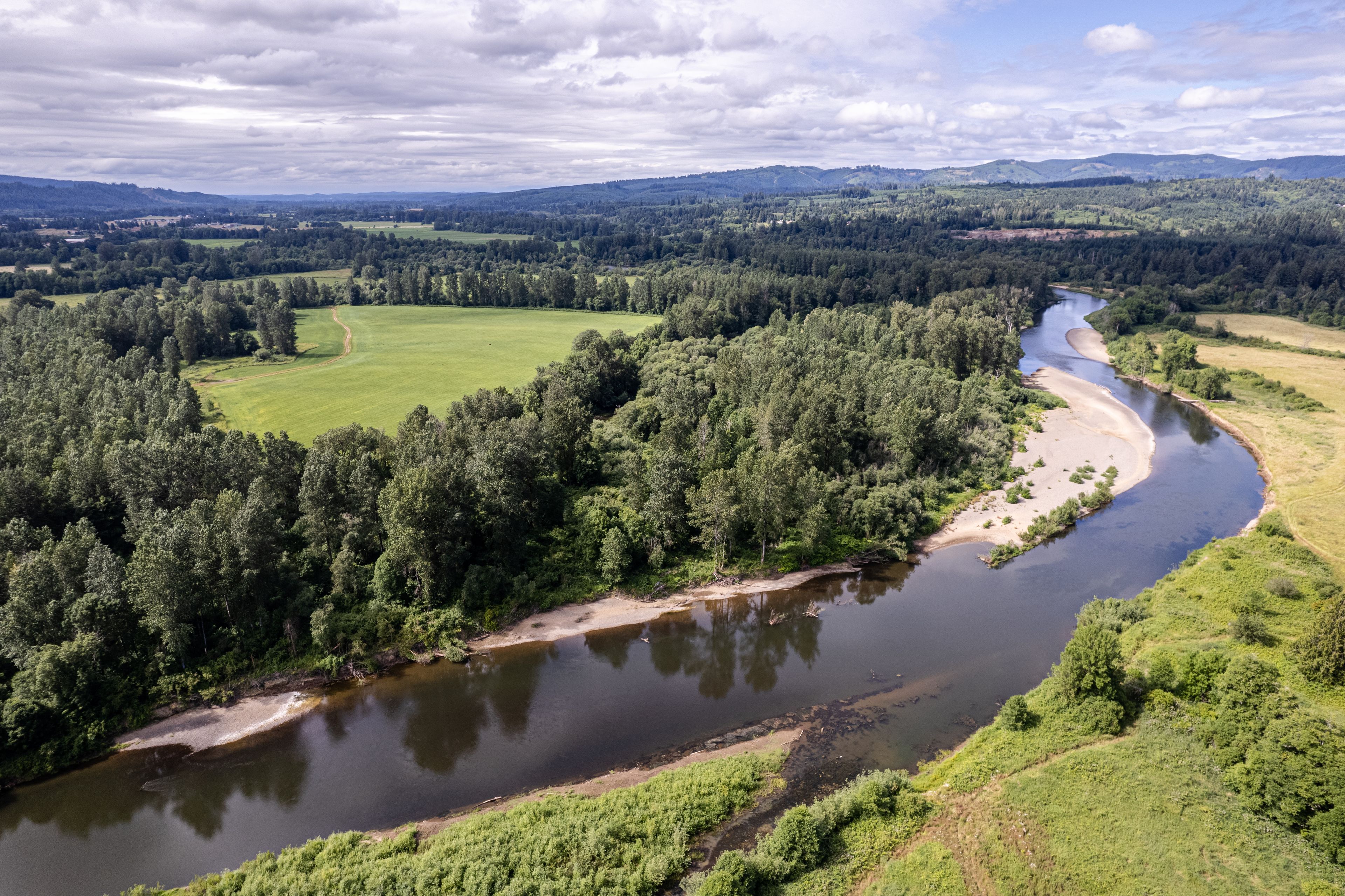 A river winding through a forested valley with hills in the background.
