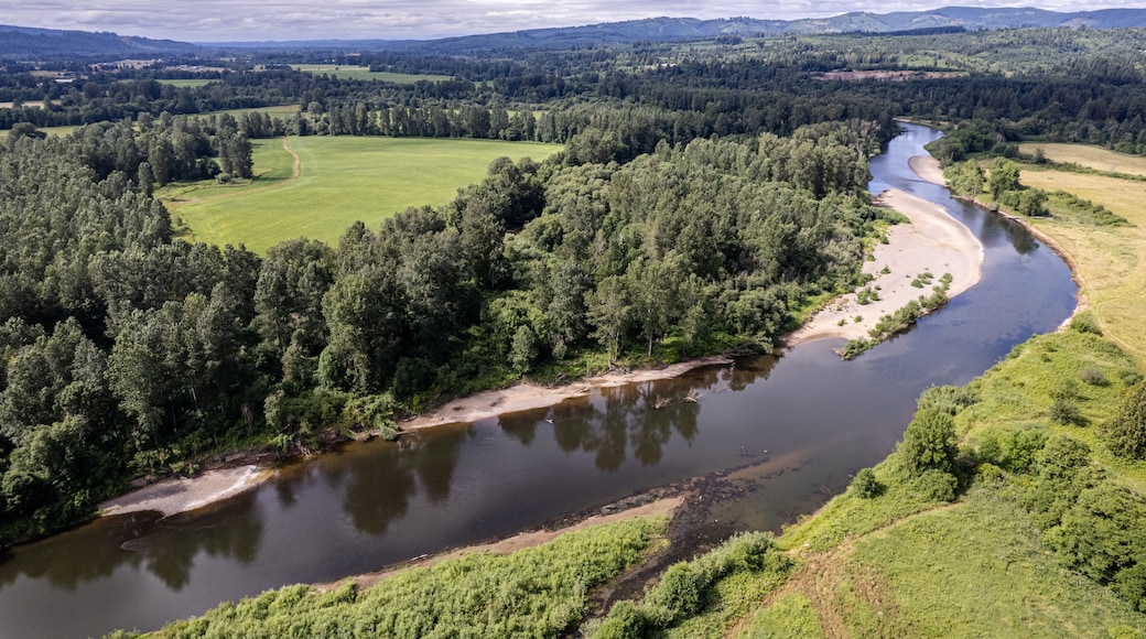 A river winding through a forested valley with hills in the background.