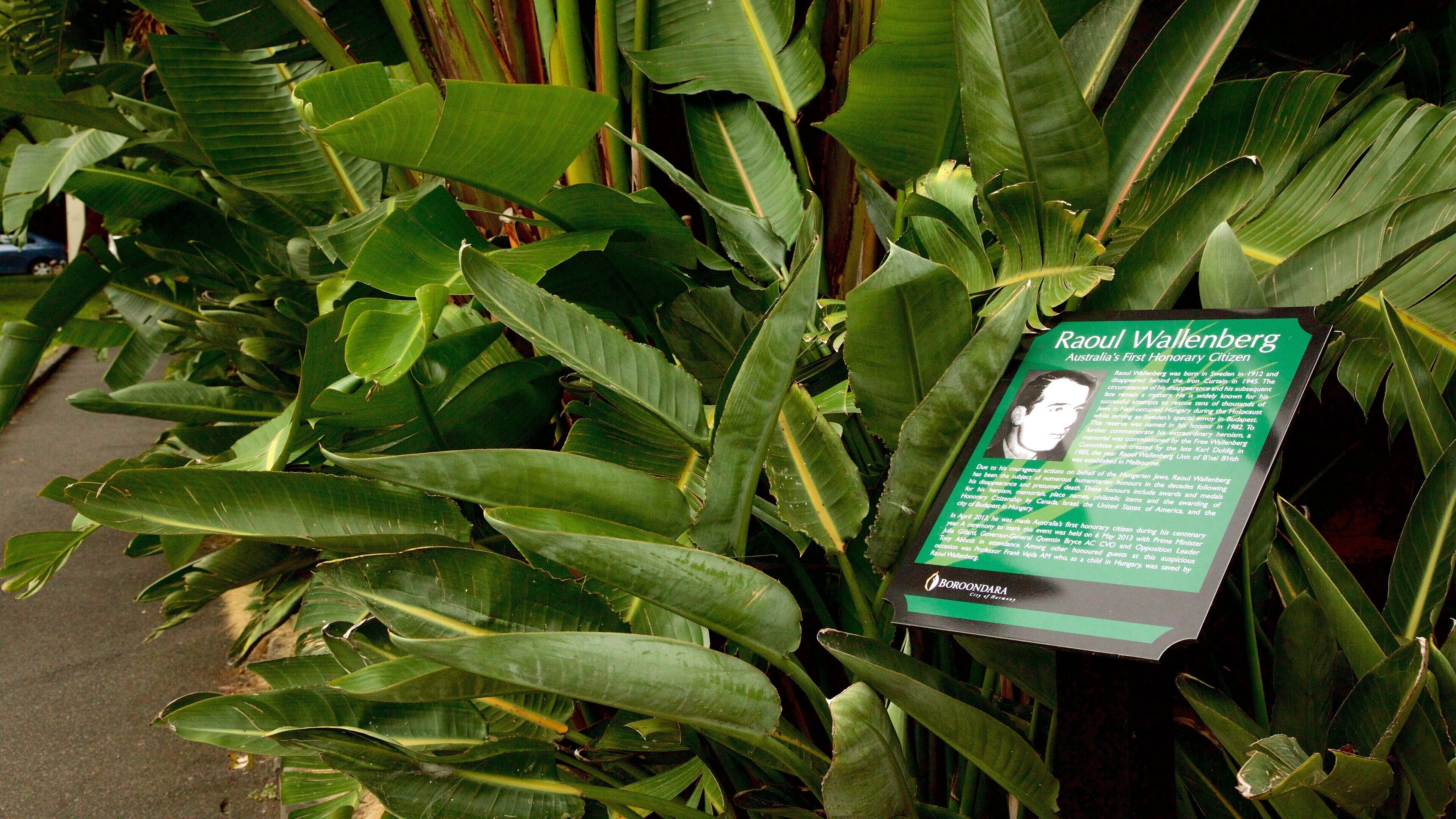 Kew featuring signage