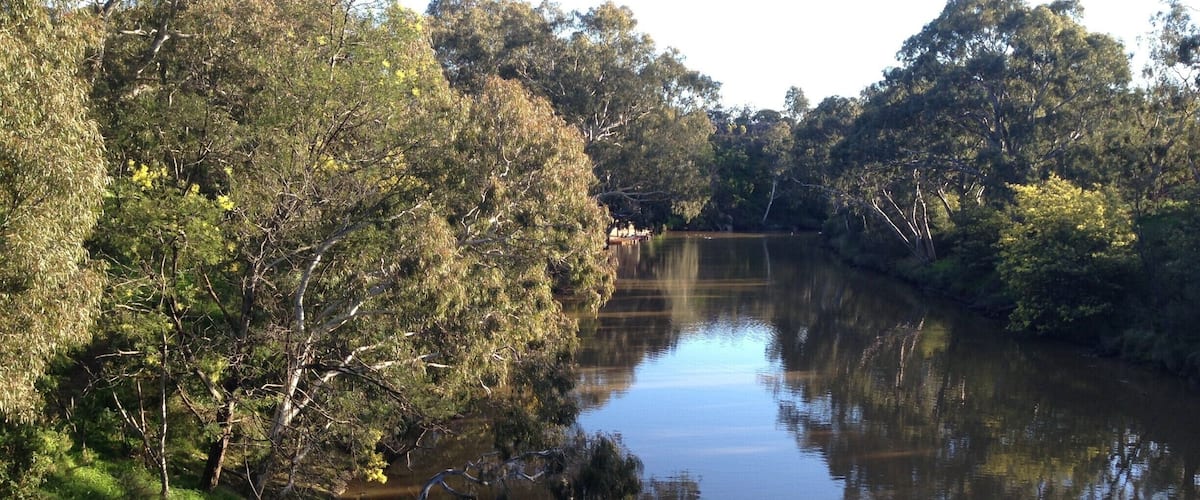 There is a quiet spot just out Melbourne CBD where you can see ripples in the water and hear the bird calls. This is a true oasis in the heart of Melbourne's inner suburbs. If the weather is good then do yourself a favour and head to Yarra Bend or Studley Park. #parks