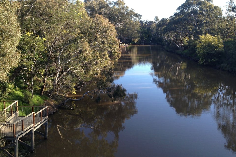 A calm river with a wooden bridge and dense trees on both sides.