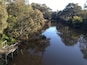 There is a quiet spot just out Melbourne CBD where you can see ripples in the water and hear the bird calls. This is a true oasis in the heart of Melbourne's inner suburbs. If the weather is good then do yourself a favour and head to Yarra Bend or Studley Park. #parks